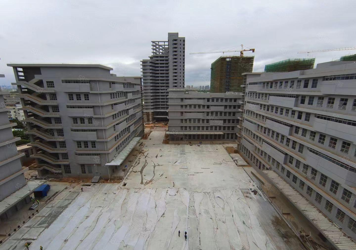 东江工业区全新厂房三十五万平方任意分租