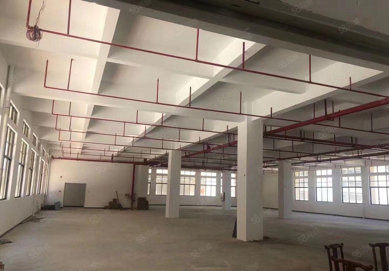 水口荔枝城工业区870平方标准厂房，租金10元证件齐全