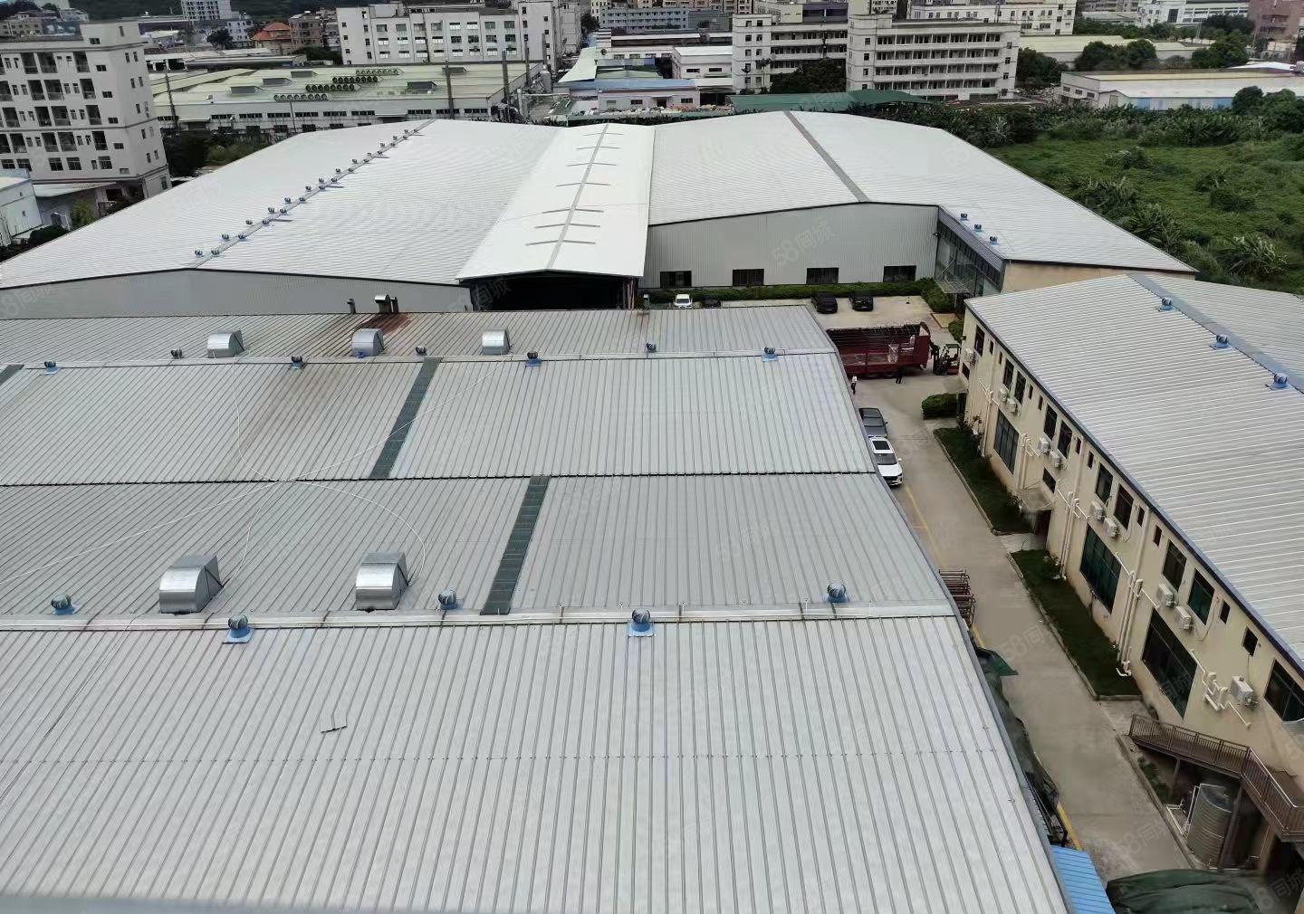 三栋市场附近单一层3800平方4100平方钢构厂房出租