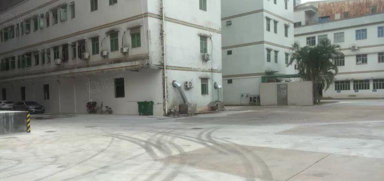 惠城小金口55000平原房东园区仓库仓库厂房出租超大空地