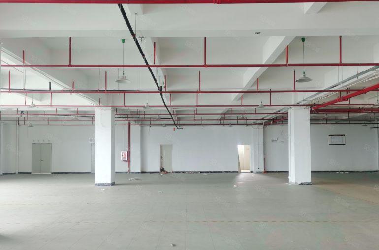 三栋镇数码园南区原房东3000平标准厂房仓库出租