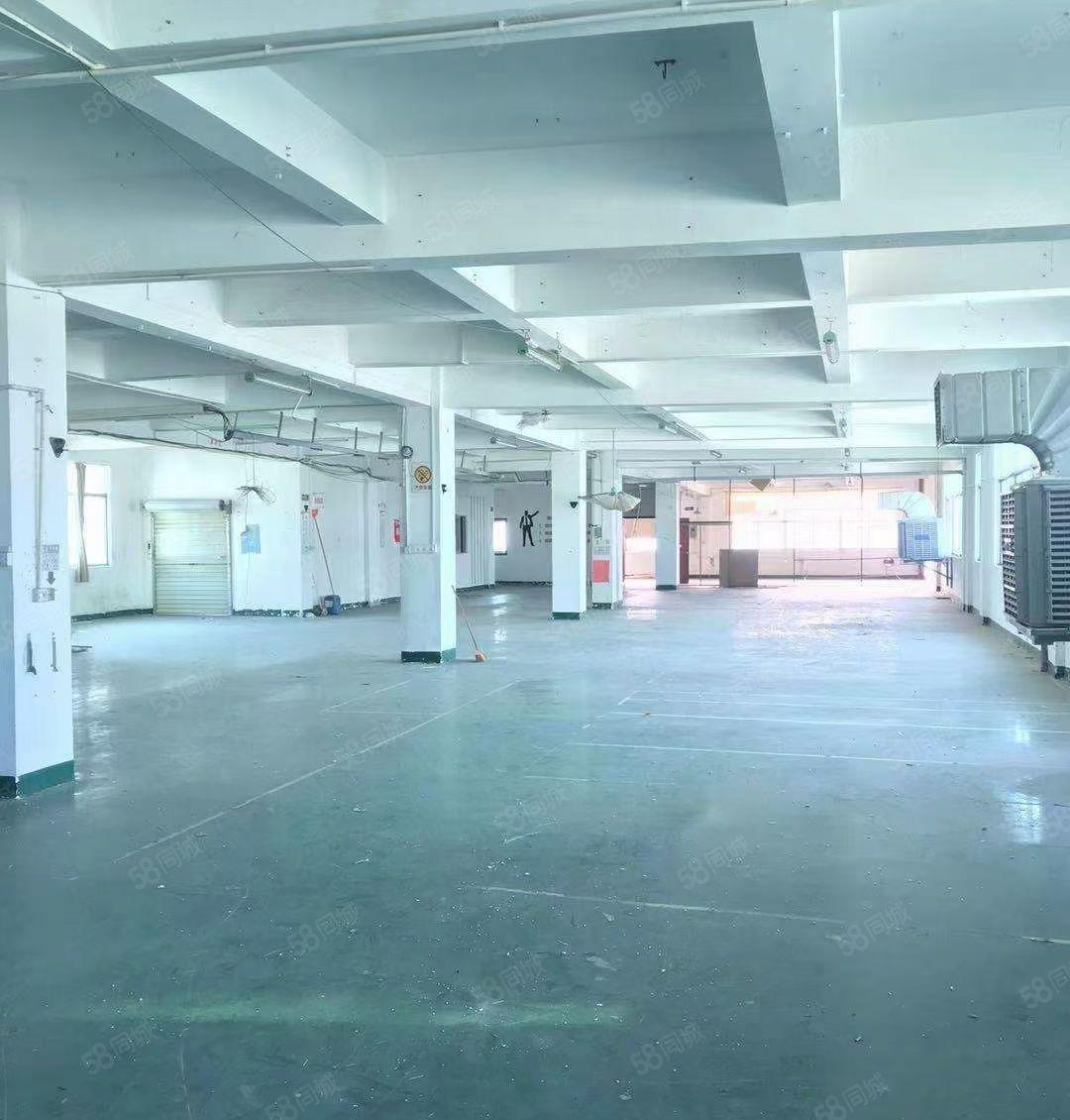 水口龙湖市场旁工业园一楼700平米 层高5.5米 租金16元