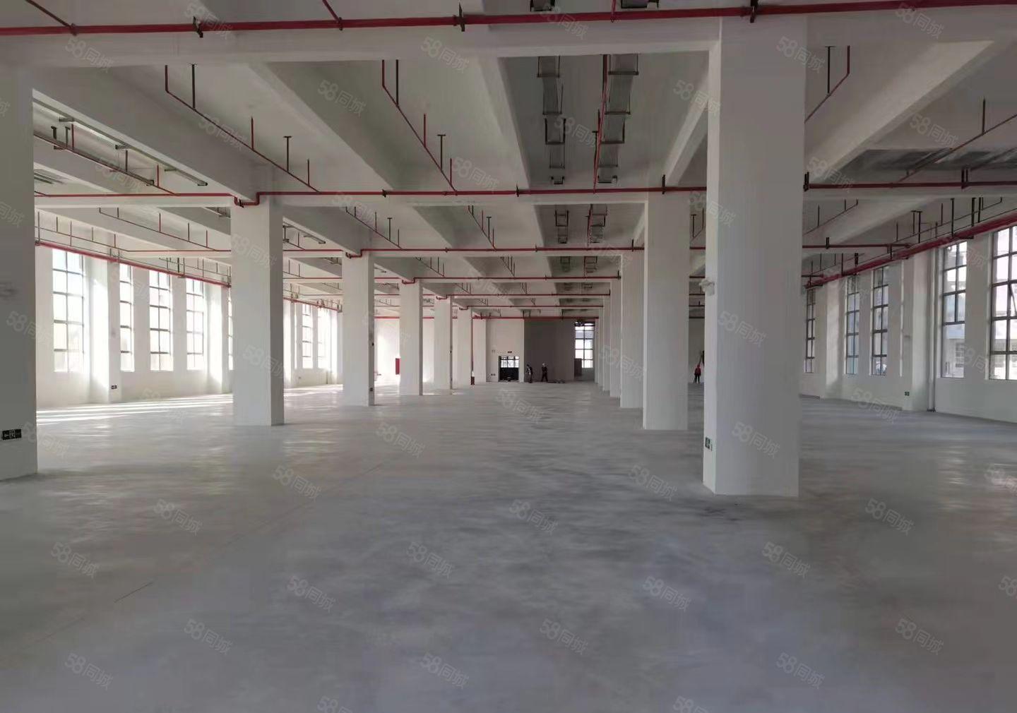 水口全新工业园区100000平方任意分租