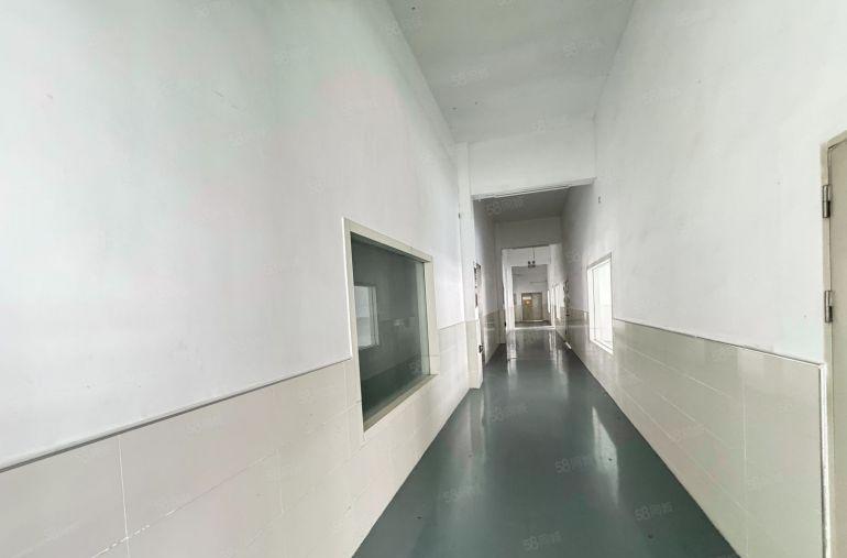 水口每平方6元红本独院标准厂房5000平方出租证件齐全