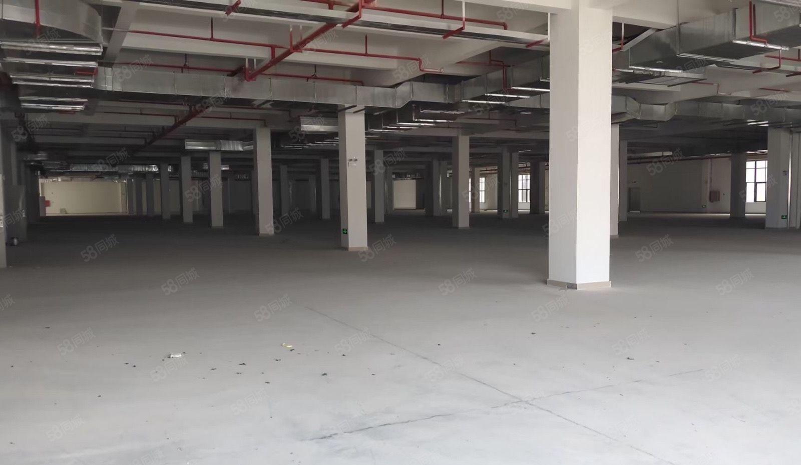 水口全新红本花园式厂房楼上厂房11元起租 可任意分租