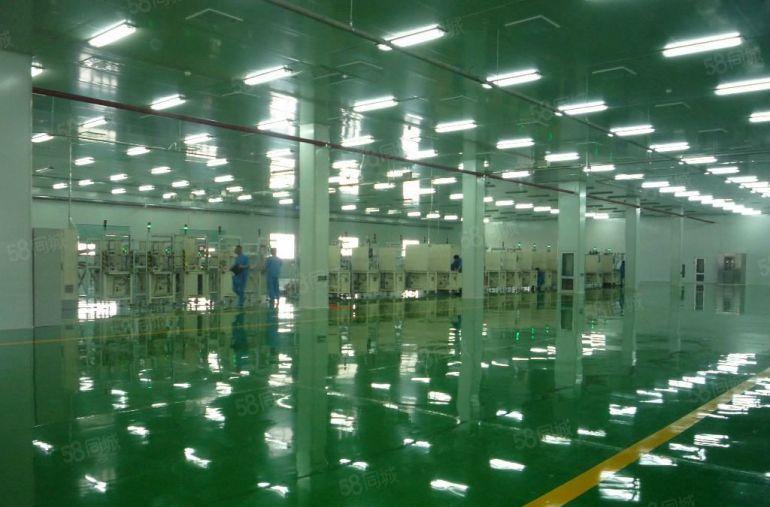 靓南璇新出独院厂房8千平米招租