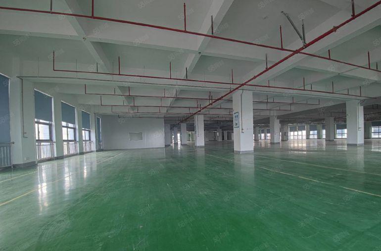 三栋数码园9块带装修单层3600平原房东厂房~300平起分