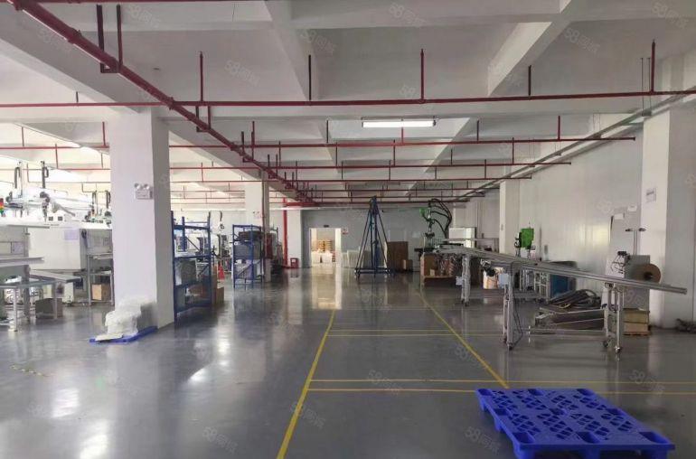 三栋镇工业园一楼1600平方厂房出租，