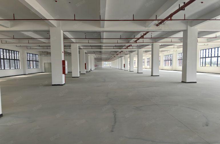 小金口食品环评全新4层7800平独门独院厂房出租。可分租