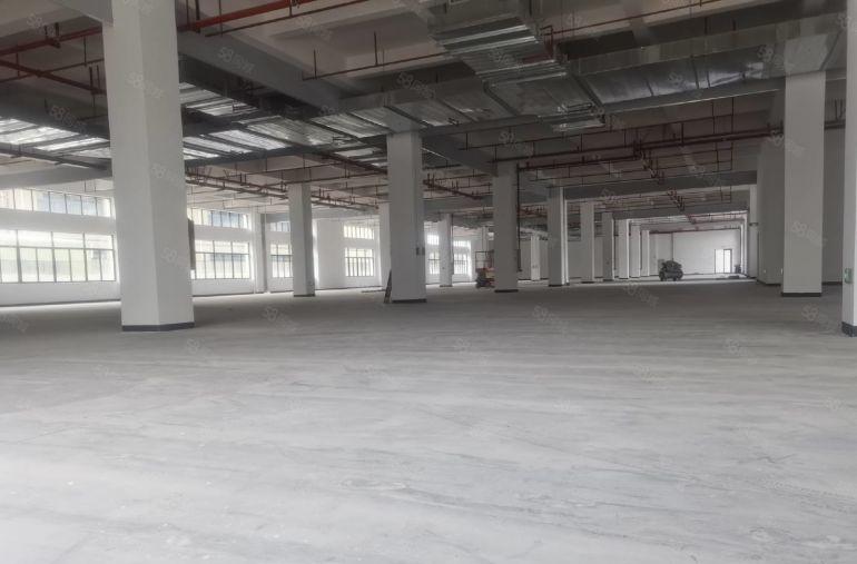 马安独门独院厂房出租