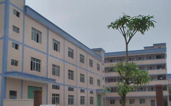 靓三栋独院厂房2.6万平米招租