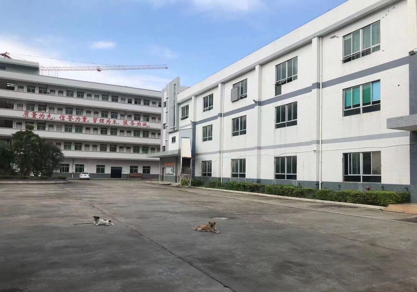 原房东独院厂房，超大空地