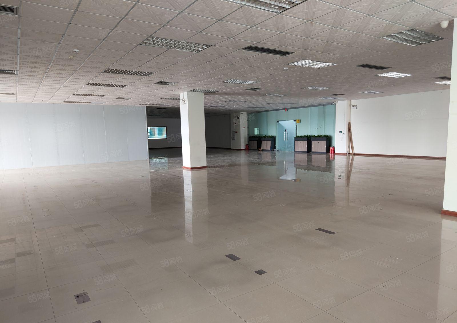 水口 华阳科技产业园4600平钢构 滴水11米