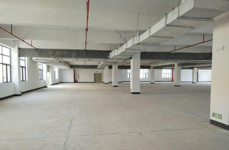 水口东江高新区原房东独栋五层全新标准厂房仓库出租