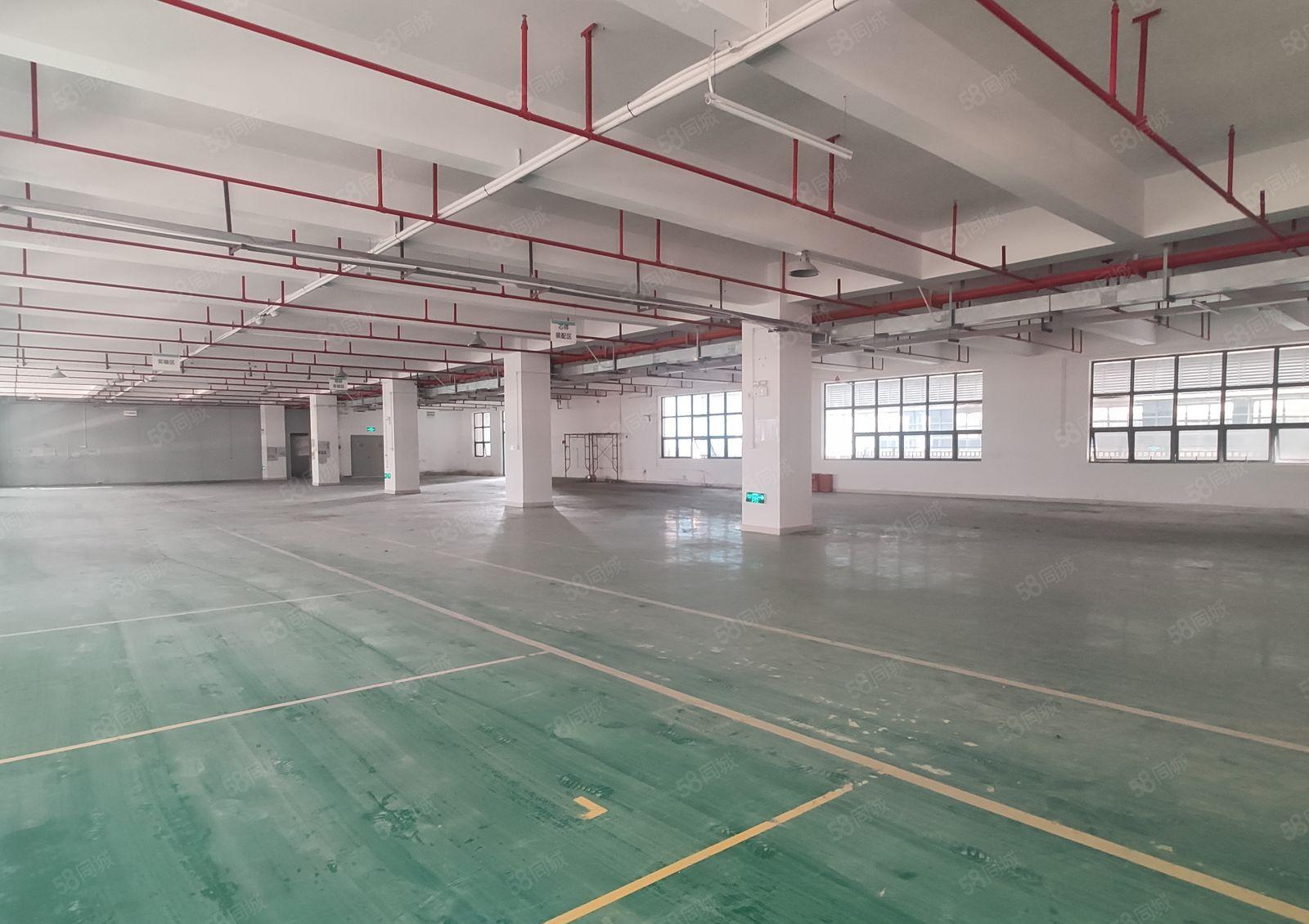 500平起租惠城区小金口原房东1万平带装修一楼厂房仓库出租