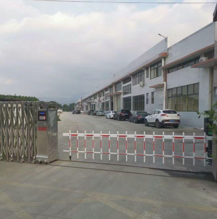 惠城区小金九龙附近工业区8米高钢构2800平方出租