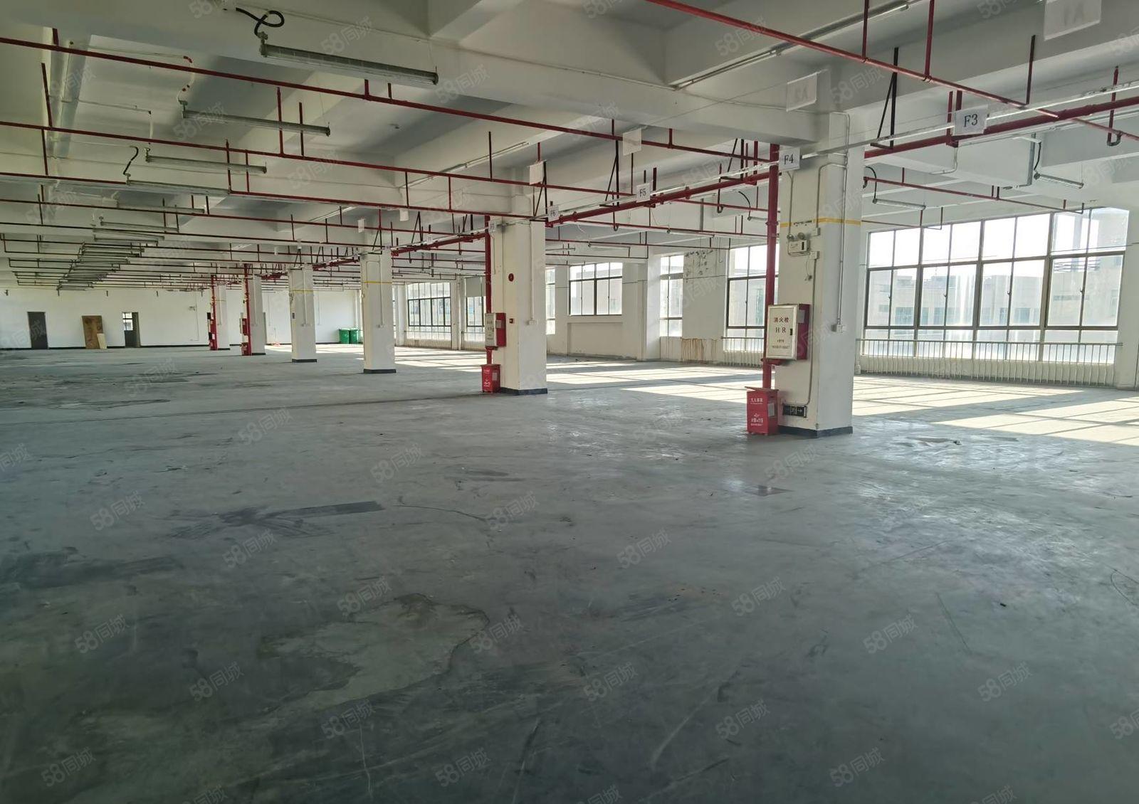 马安新乐1450平厂房，好招工，证件齐全，租金实惠