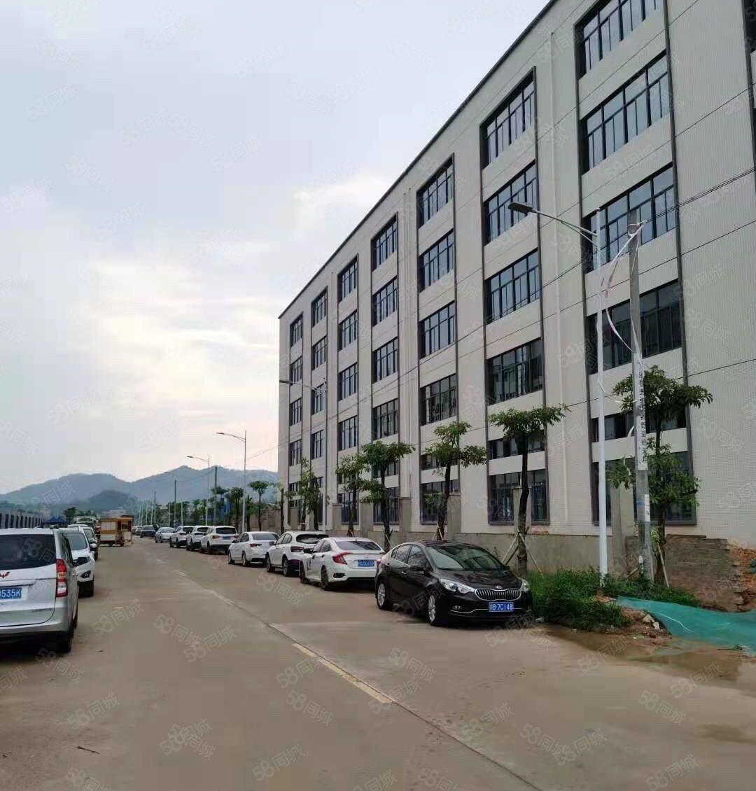 三栋镇新出花园式独院厂房