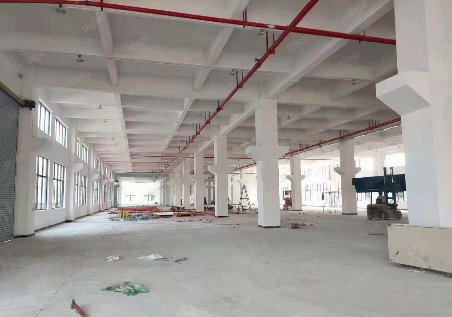 合马安全新一二层5200平方红本标准厂房招租