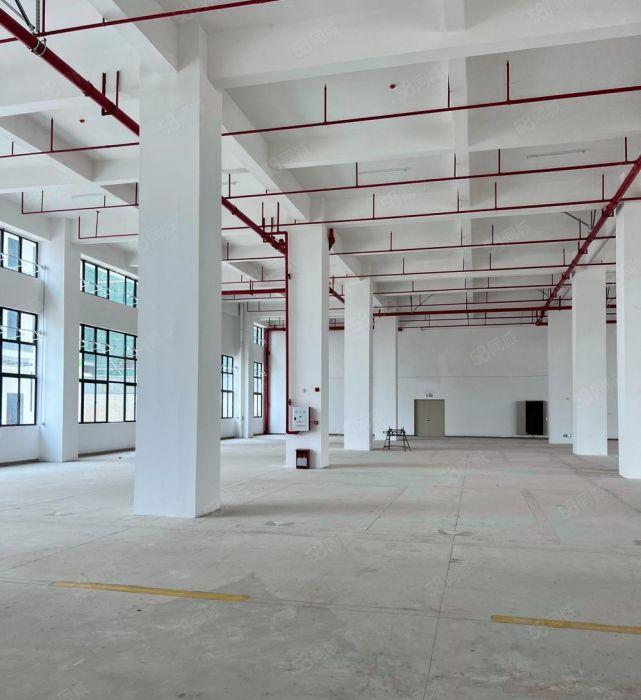 三栋全新厂房出租2000平方一层可分租