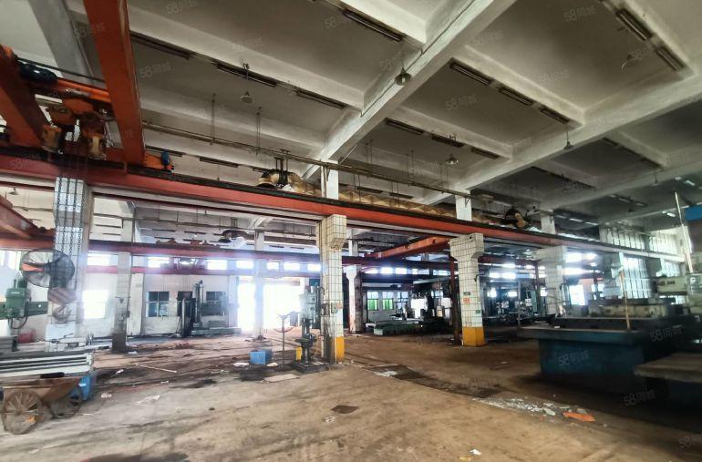 三栋镇工业园单一层一楼混泥土厂房10米高1000平方，带行车