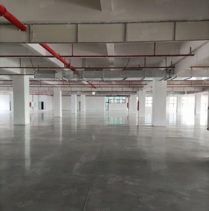 江北全新标准高科技产业园所有证件齐全两部货梯实际面积出租