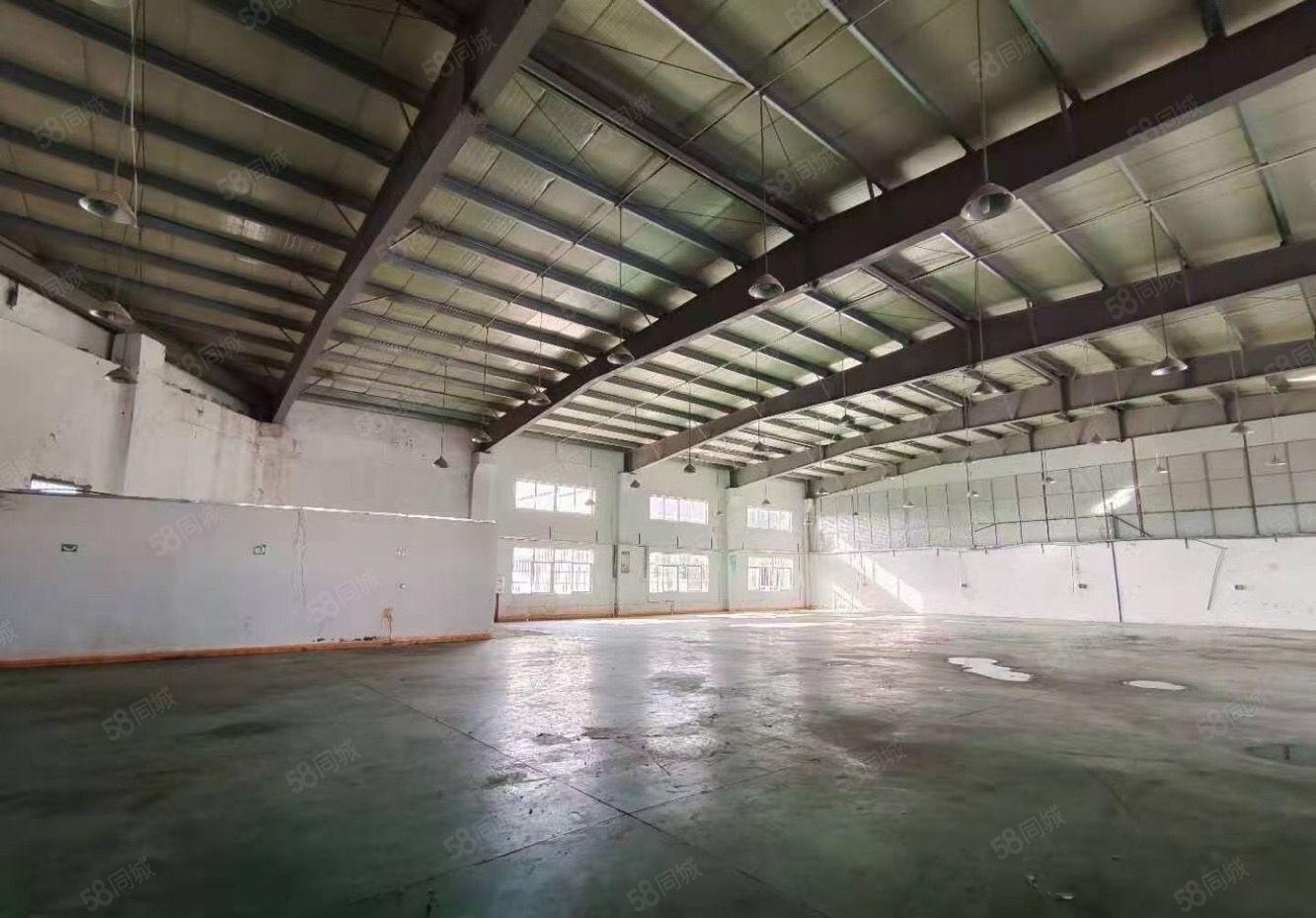 水口龙湖大道边 钢构1150平方招租 高8米