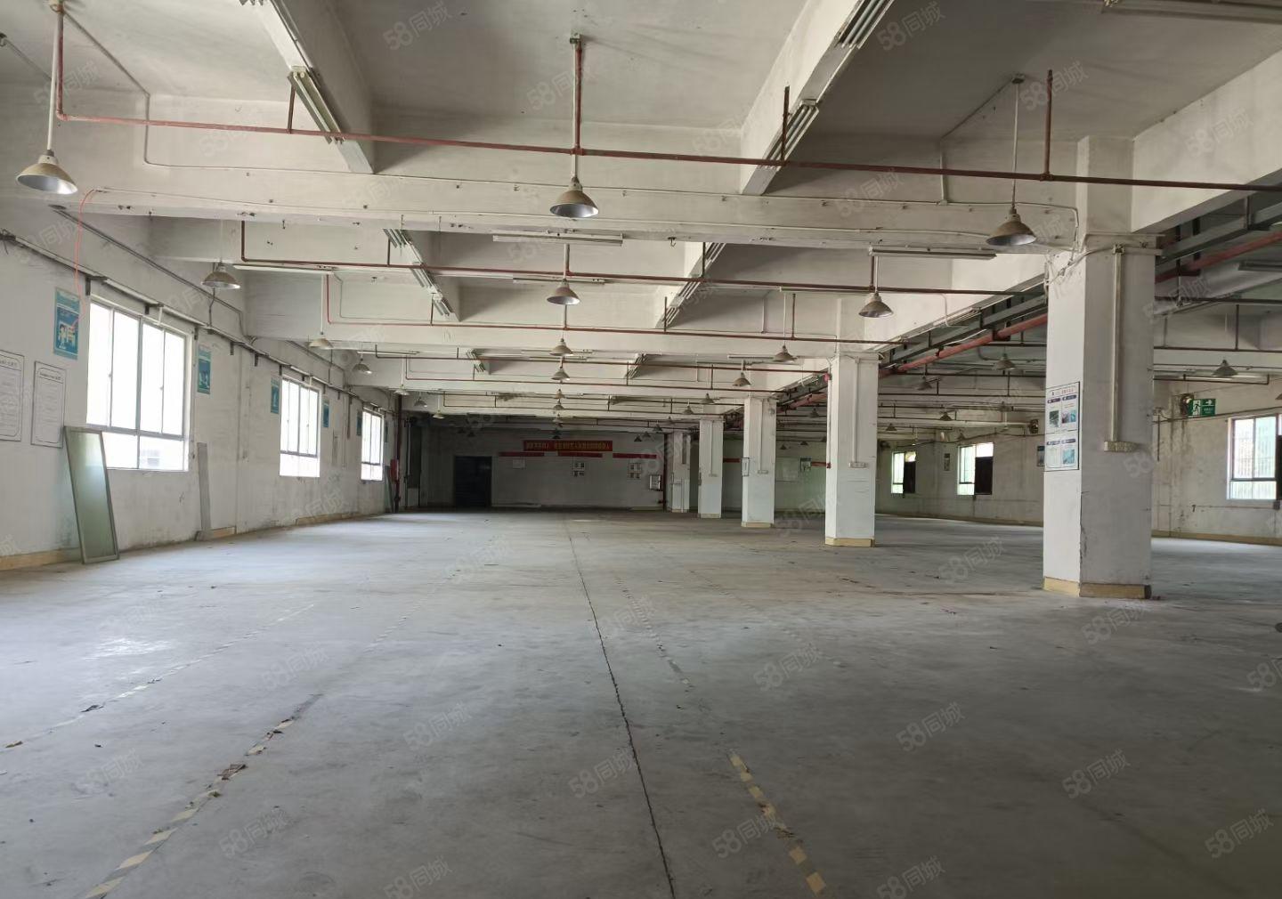 马安6500平米独院厂房招租