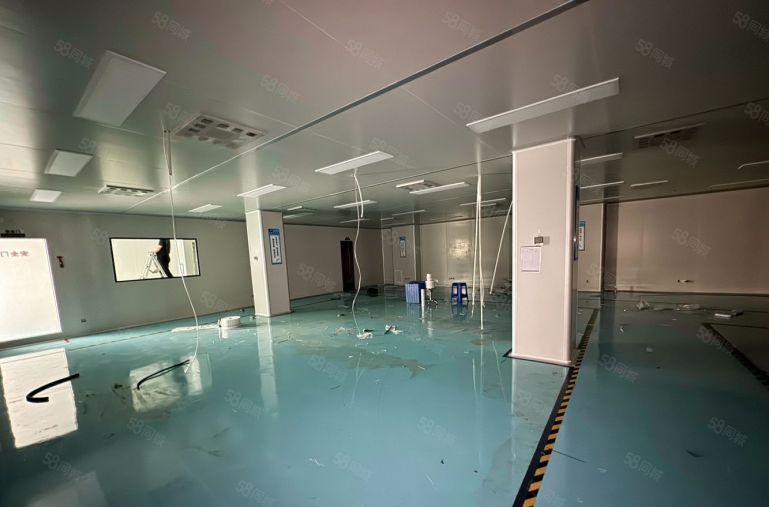 马安原房东精装修独门独院厂房4000平方，10元。价格可谈