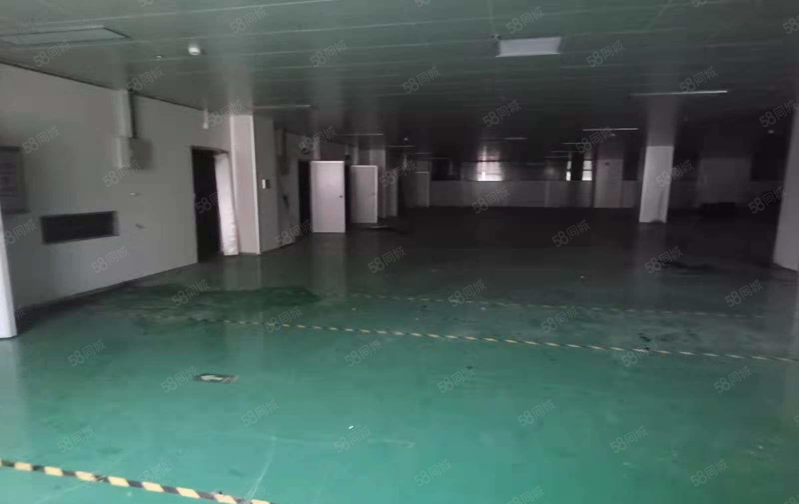 东江高新区现成地坪漆1300平米标准厂房招租，高5米
