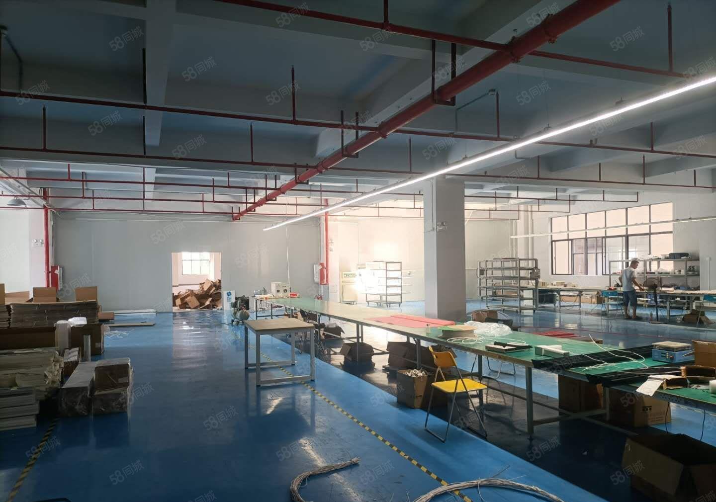 水口红本厂房2000平 租金12元 可分租 形象佳