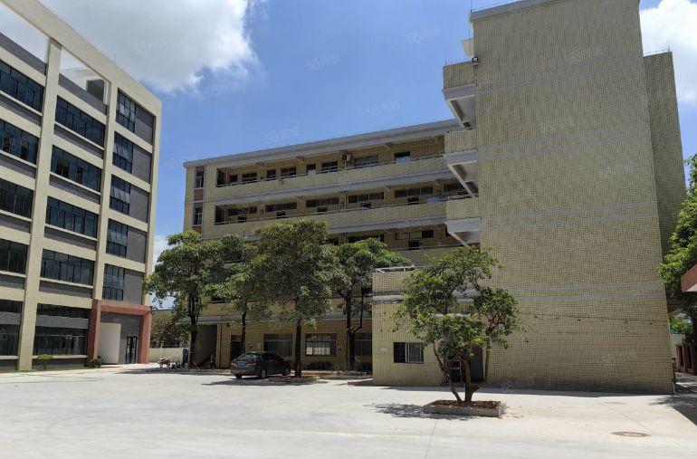 靓马安独院厂房2.4万平米招租