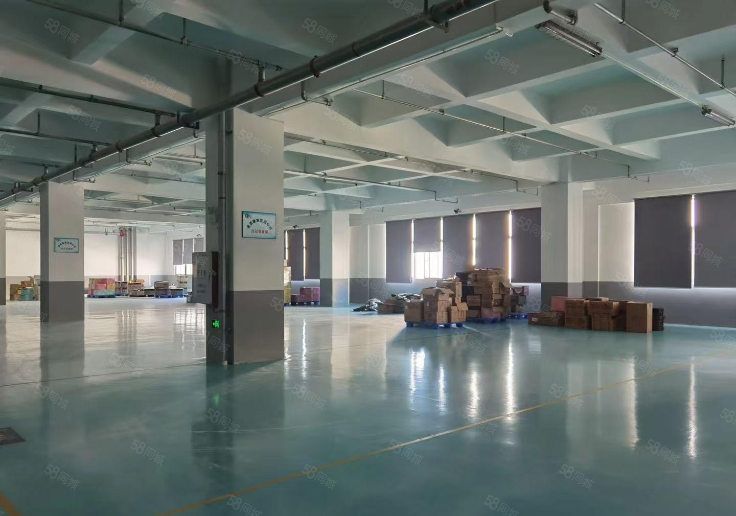 水口十万平米全新产业园内红本厂房招租可分租