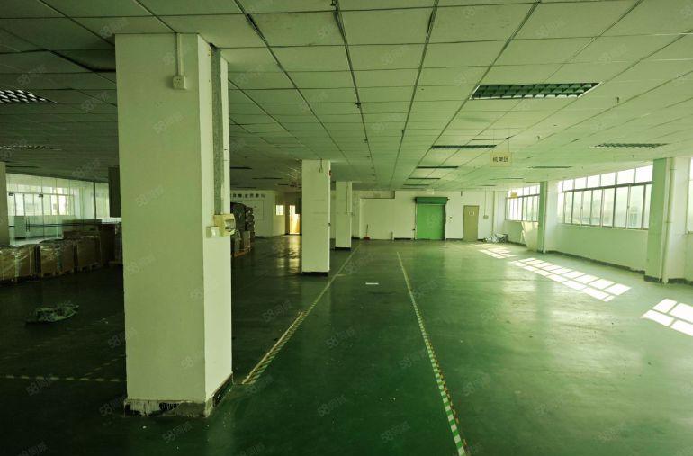惠城区水口镇新空出带部分精装修厂房招租，面积1265平米