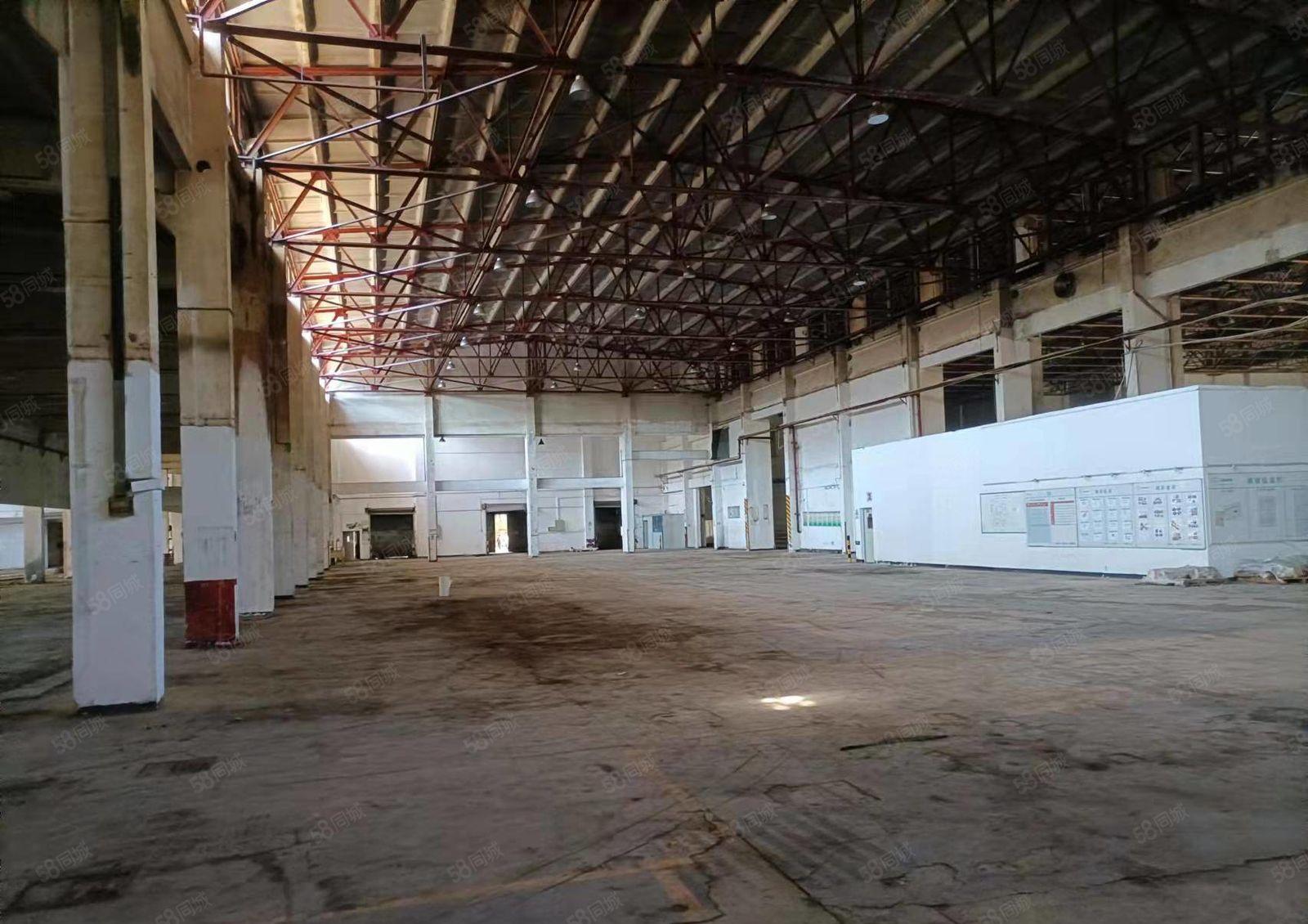 惠城区市中心新出单层14米高厂房（可做商业）