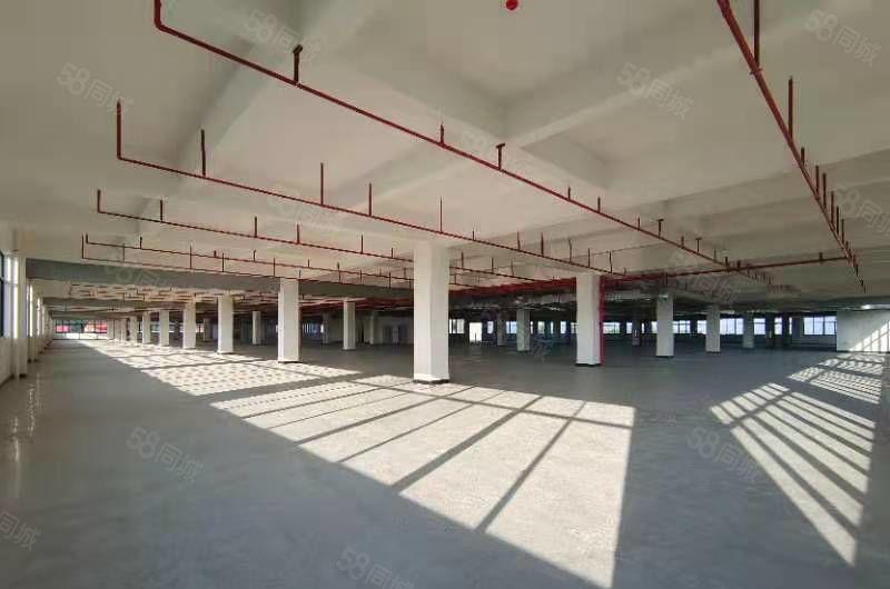 本公司全新标准厂房1000到36000平米出租 接受污染行业