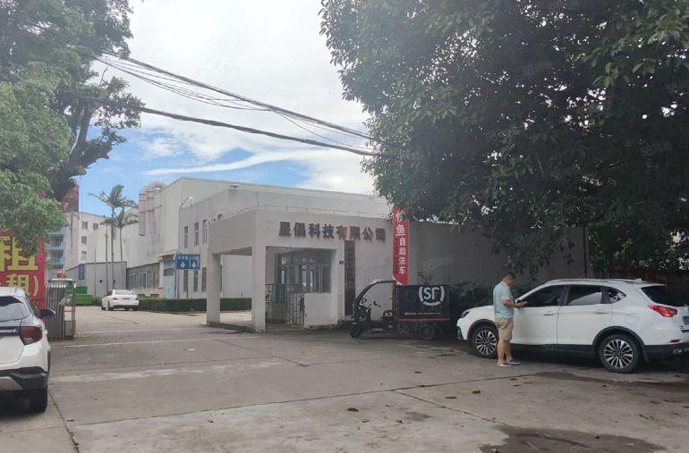 马安新乐1600平方9米高钢构厂房出租，可分租