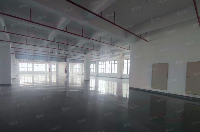马安厂房出租单层1300平所有楼层全新地坪漆主线到车间价格优