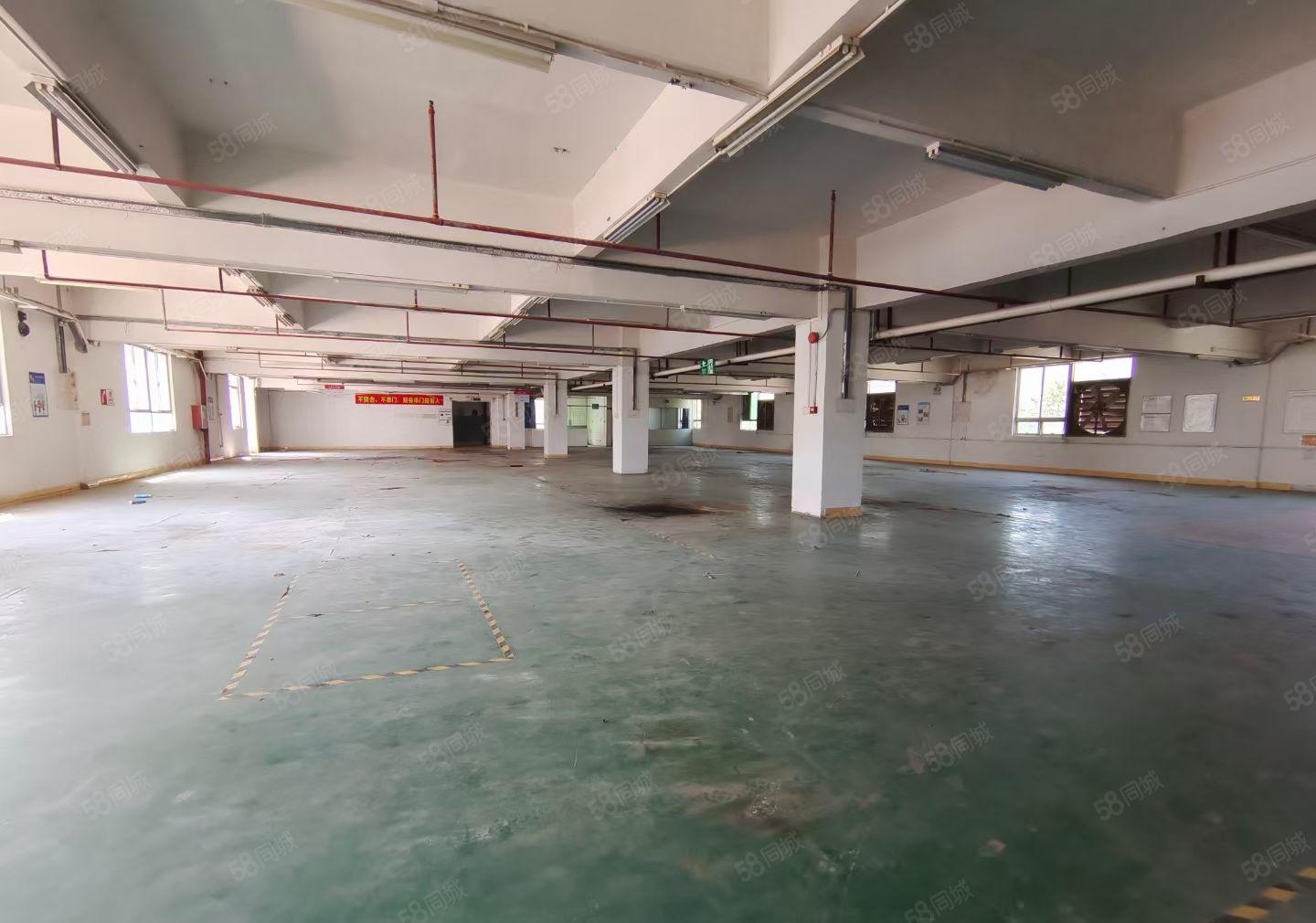 新乐独院花园厂房5250平方可分租