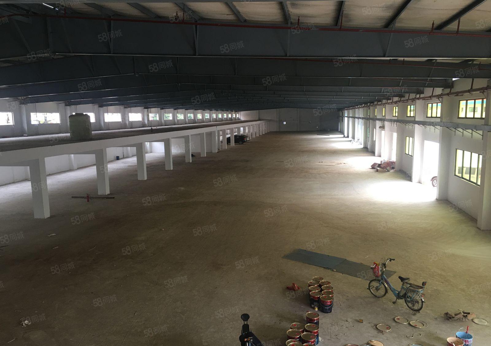 惠城小金口侨兴工业园独栋6400平钢构仓库厂房出租可分租