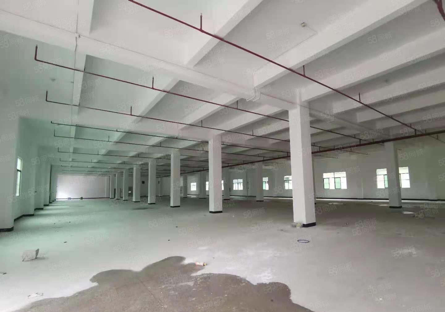 三栋镇新出花园式独院厂房