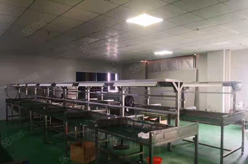 马安新出楼上带装修厂房，面积1500平米，租金13元每平方米