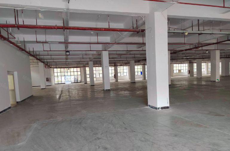 10元，三栋数码园7楼4000平米原房东厂房出租（可分租）