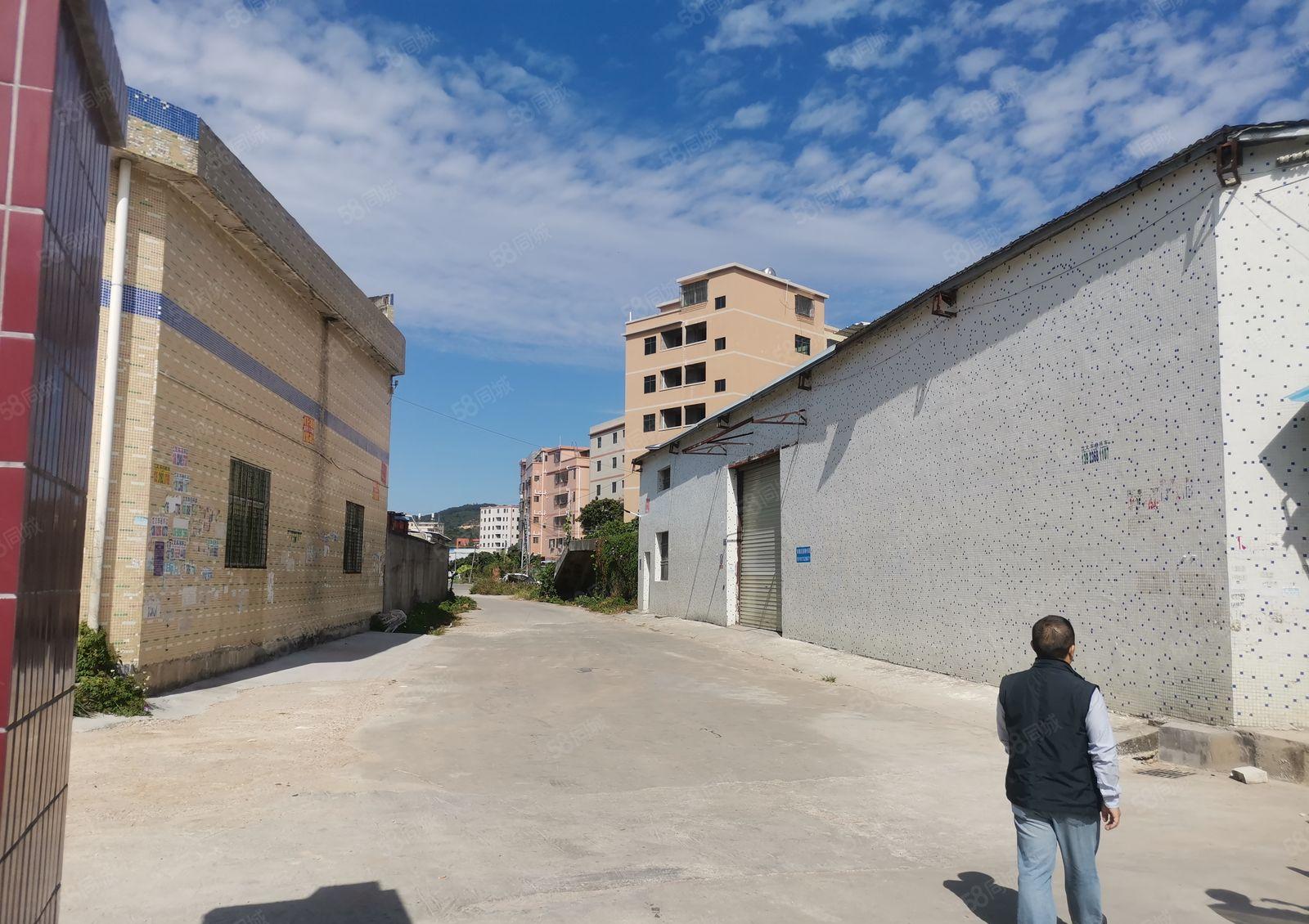 惠阳秋长白底价13块钢构1楼6000平分租！600平起分租！