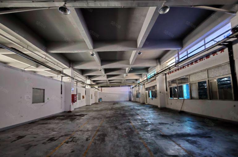 秋长淡水一楼1500平6米高房东低价出租现成装修办公水电齐全