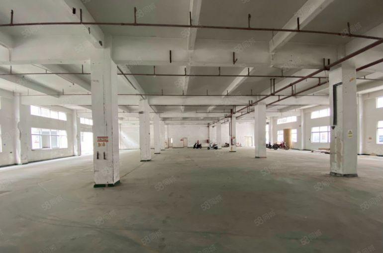 12元平新圩镇800平原房东一楼厂房成熟园区配套齐全