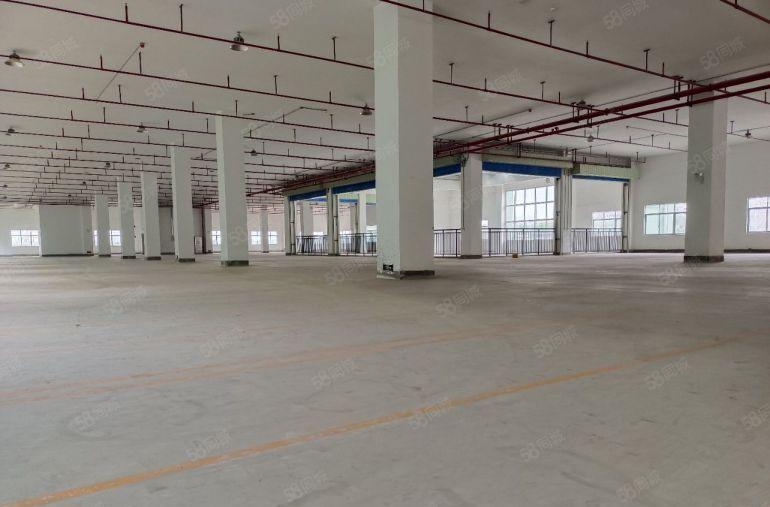 惠阳三和带卸货平台高滴水钢构厂房出租