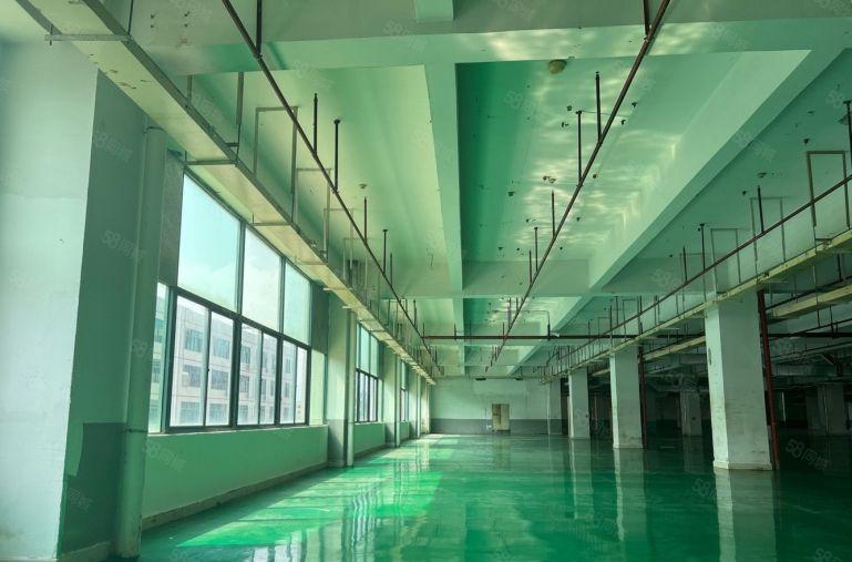 惠阳新出原房东10元厂房仓库低价出租空地大大小可分租证件齐全