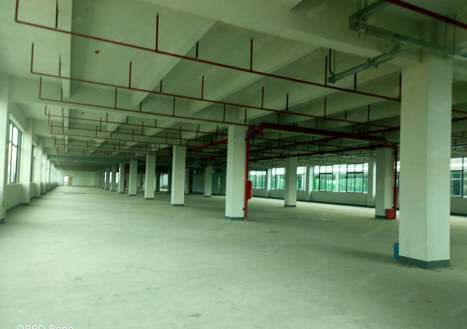 惠东县白花镇全新不限电工业园招租可整可分