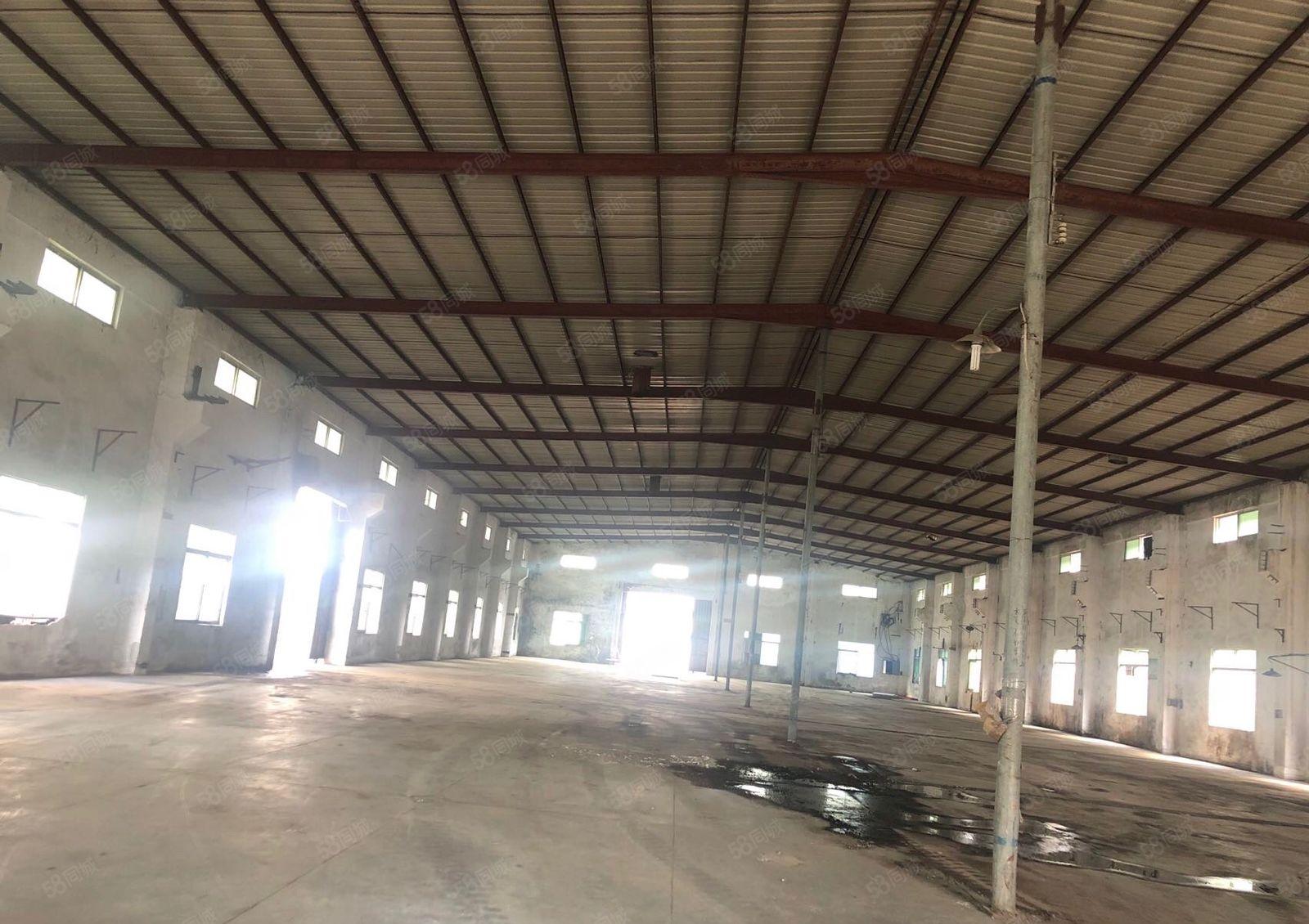 单一层钢构独门独院厂房